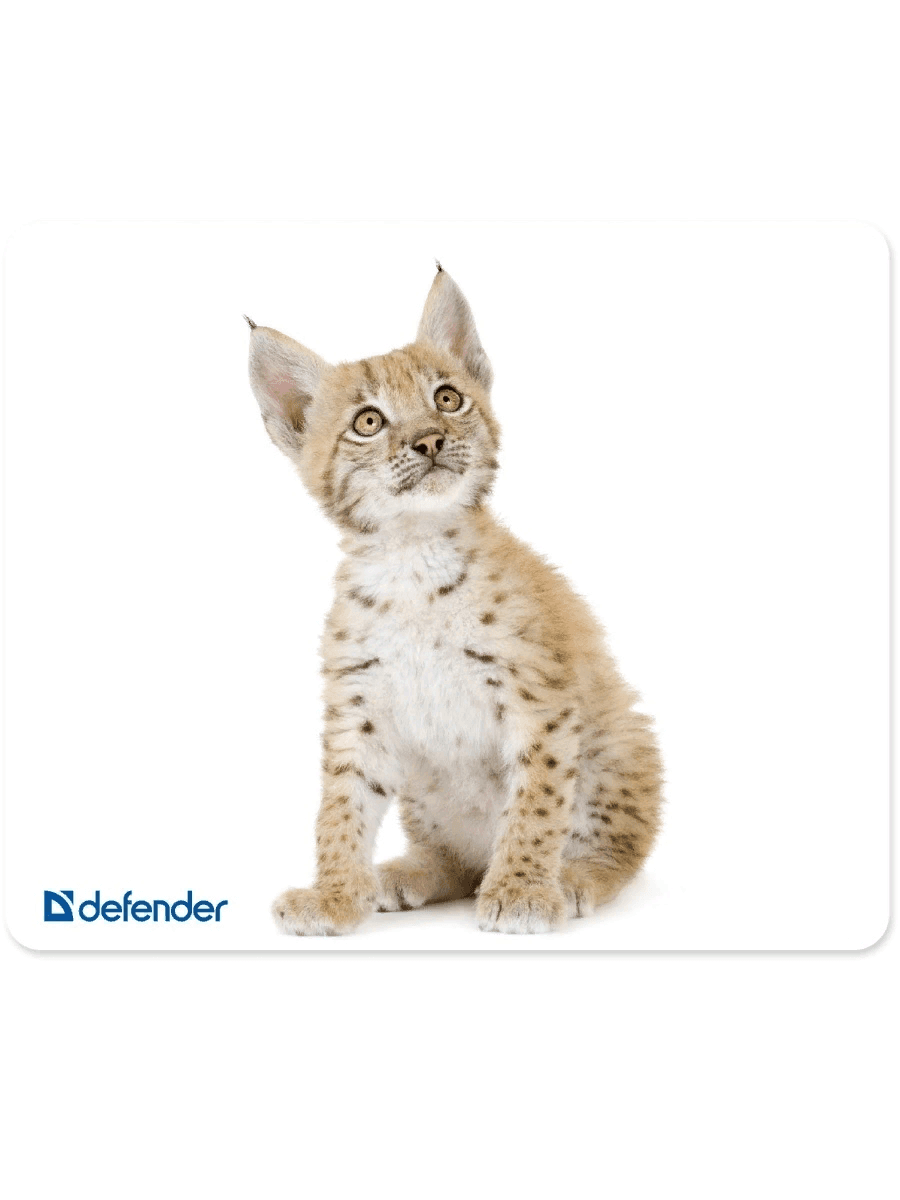 Коврик для мыши Defender шелковый, ассортимент, 230х190х1.6мм (50706)